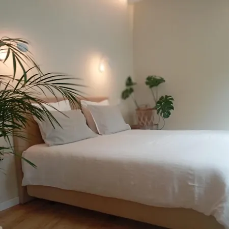 Santa Cruz - B&B-3